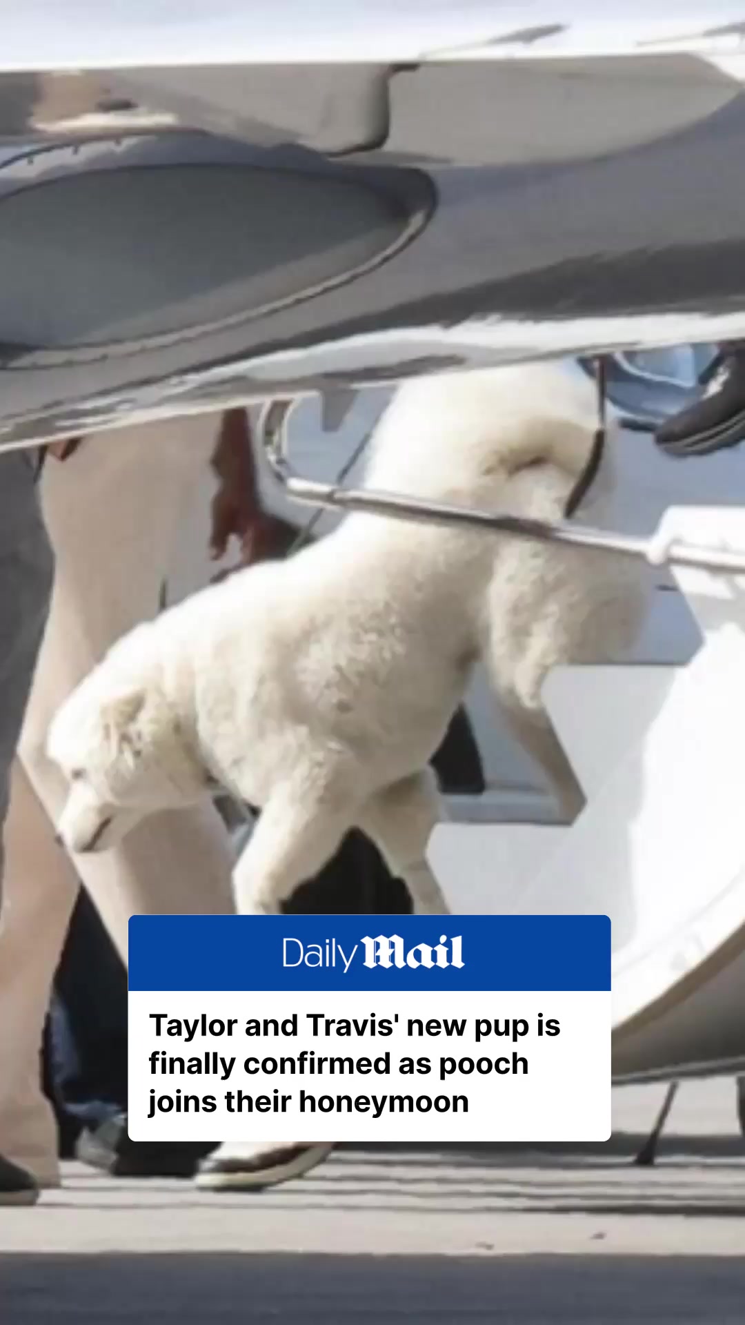 @Daily Mail Australia