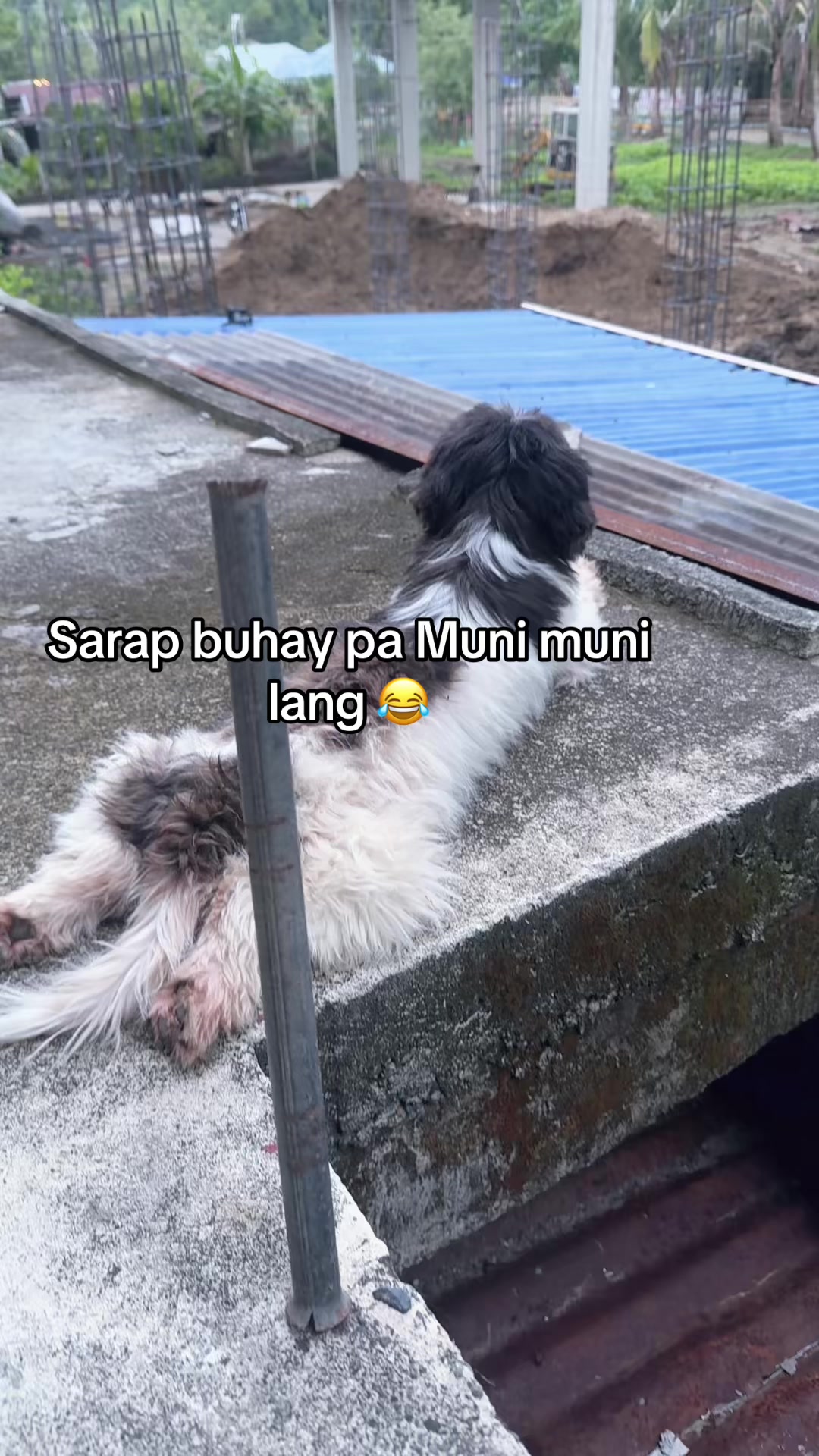@Marj Moon 🌙