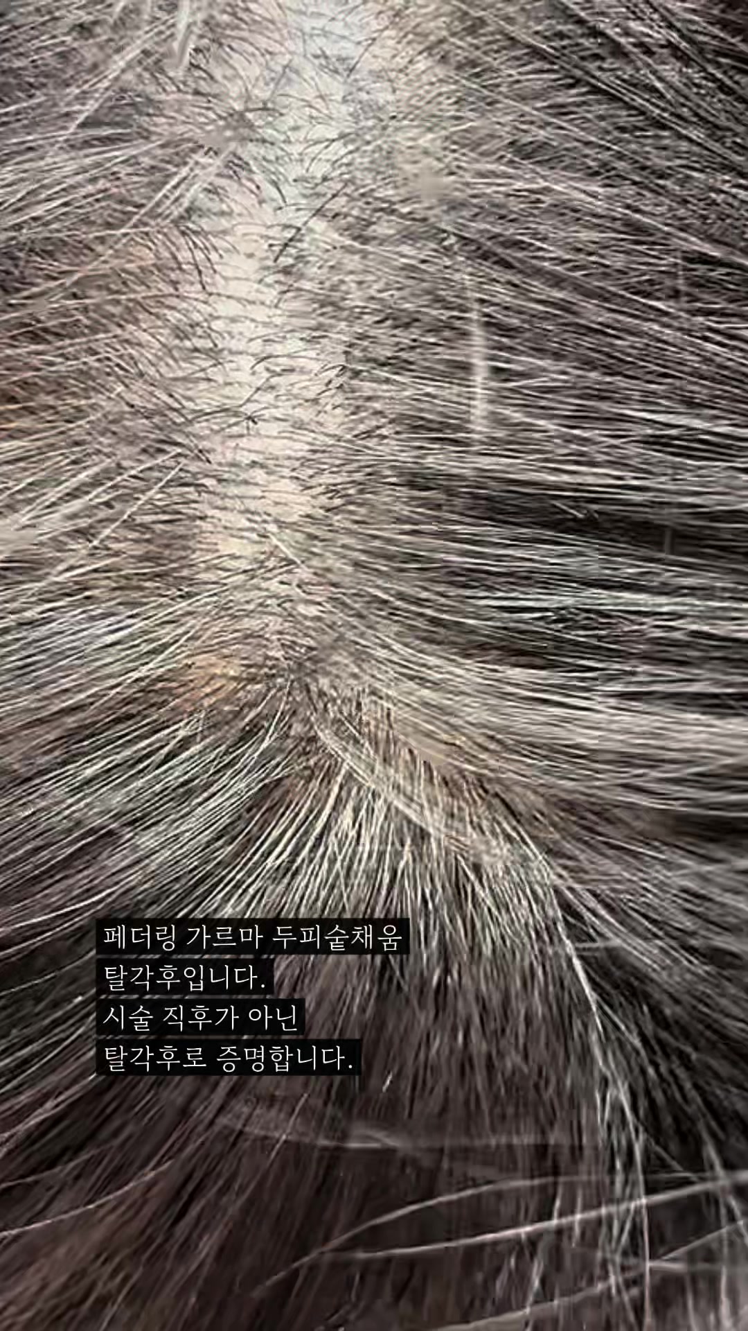 @엘리