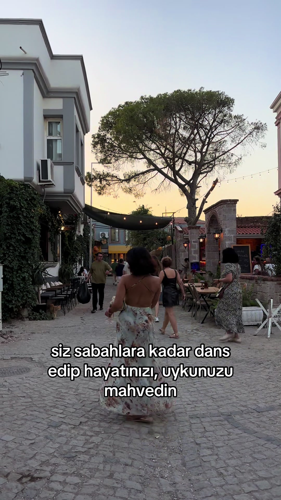 @şev🪷
