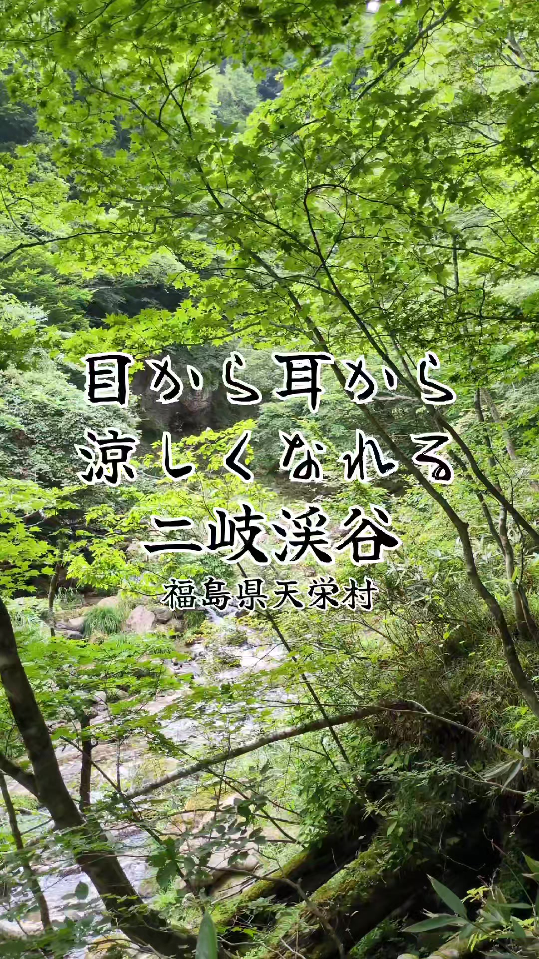 @若旦那