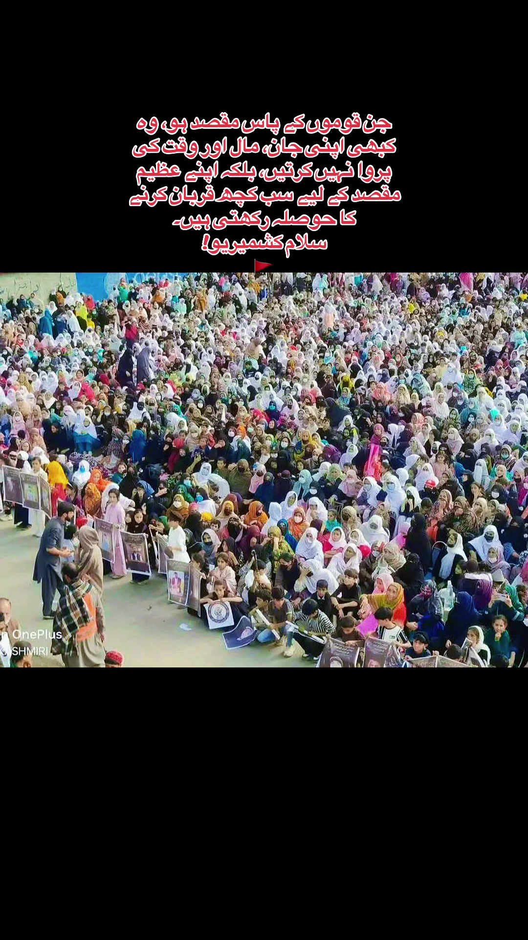 @Syed Mohib Kazmi
