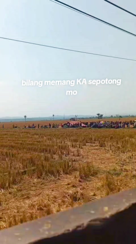 @Mx bocil🚀