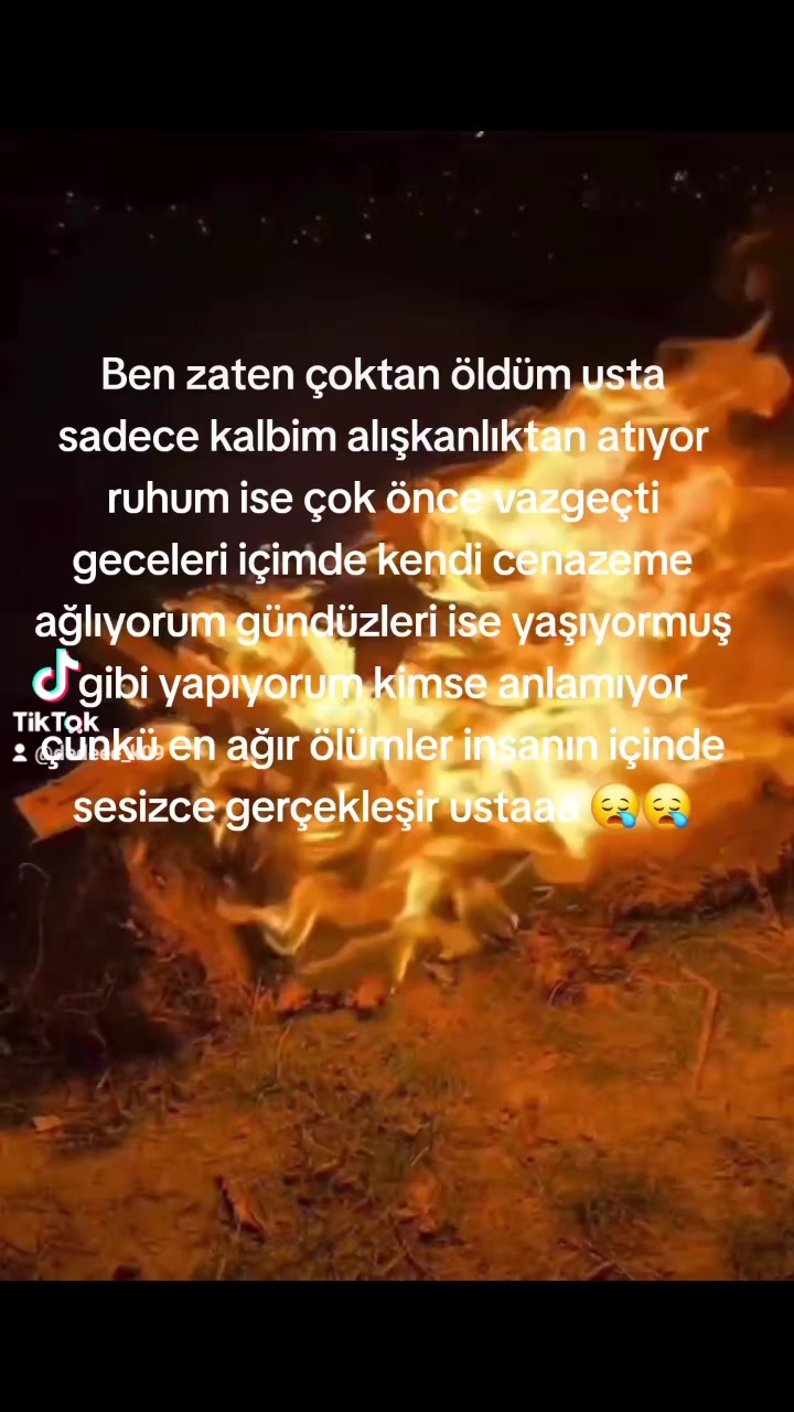 @⚜️wolf usta ⚜️