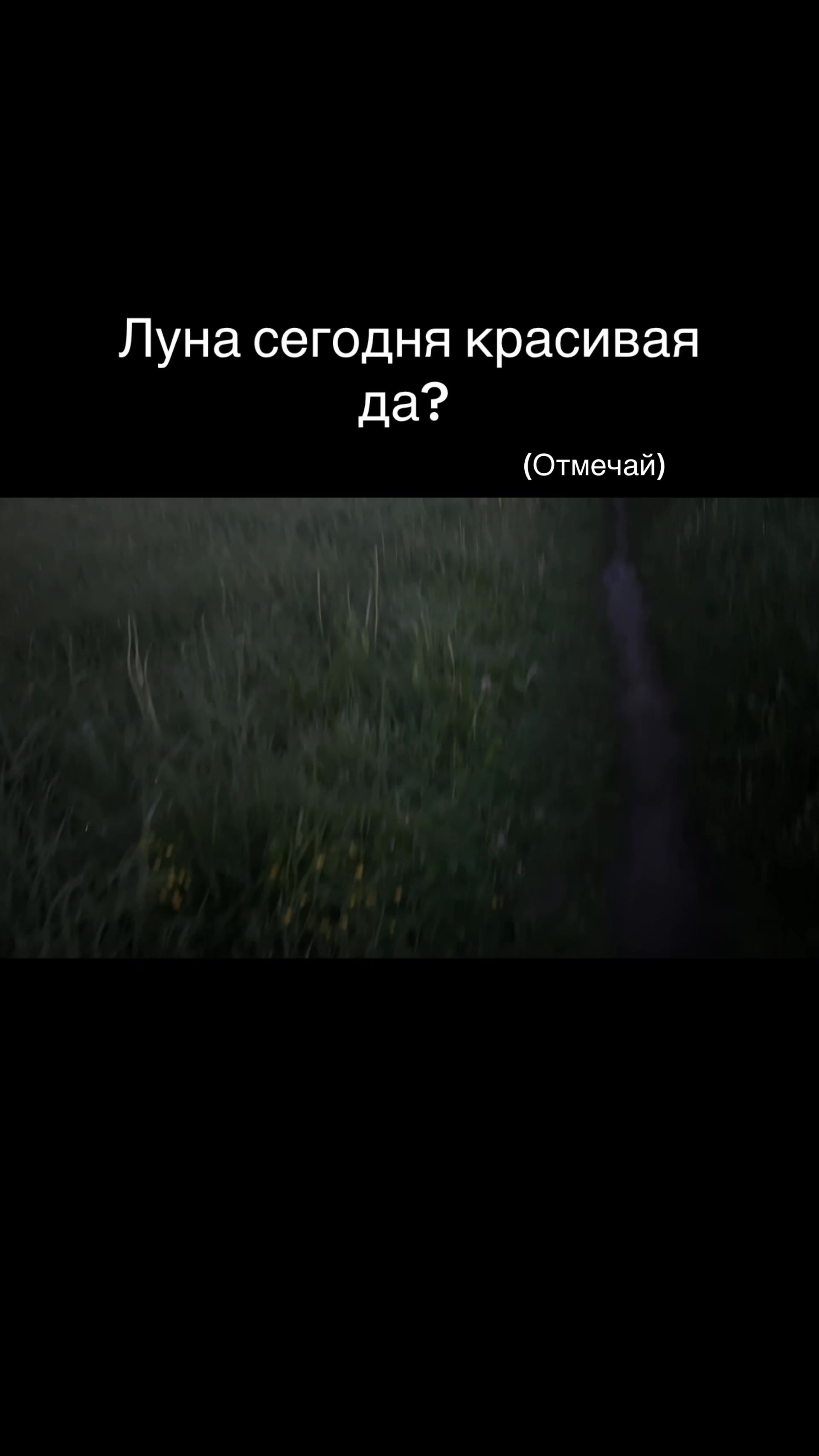 @Sima:)