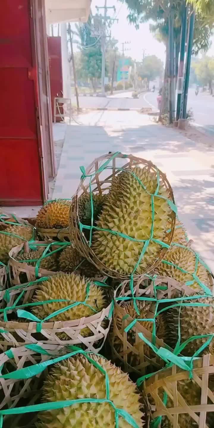 @Kenzhi Durian Tuban