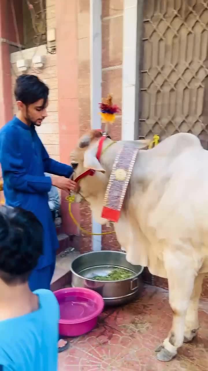 @ملیحہ ❤️👑