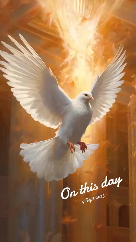 @@Aries0419