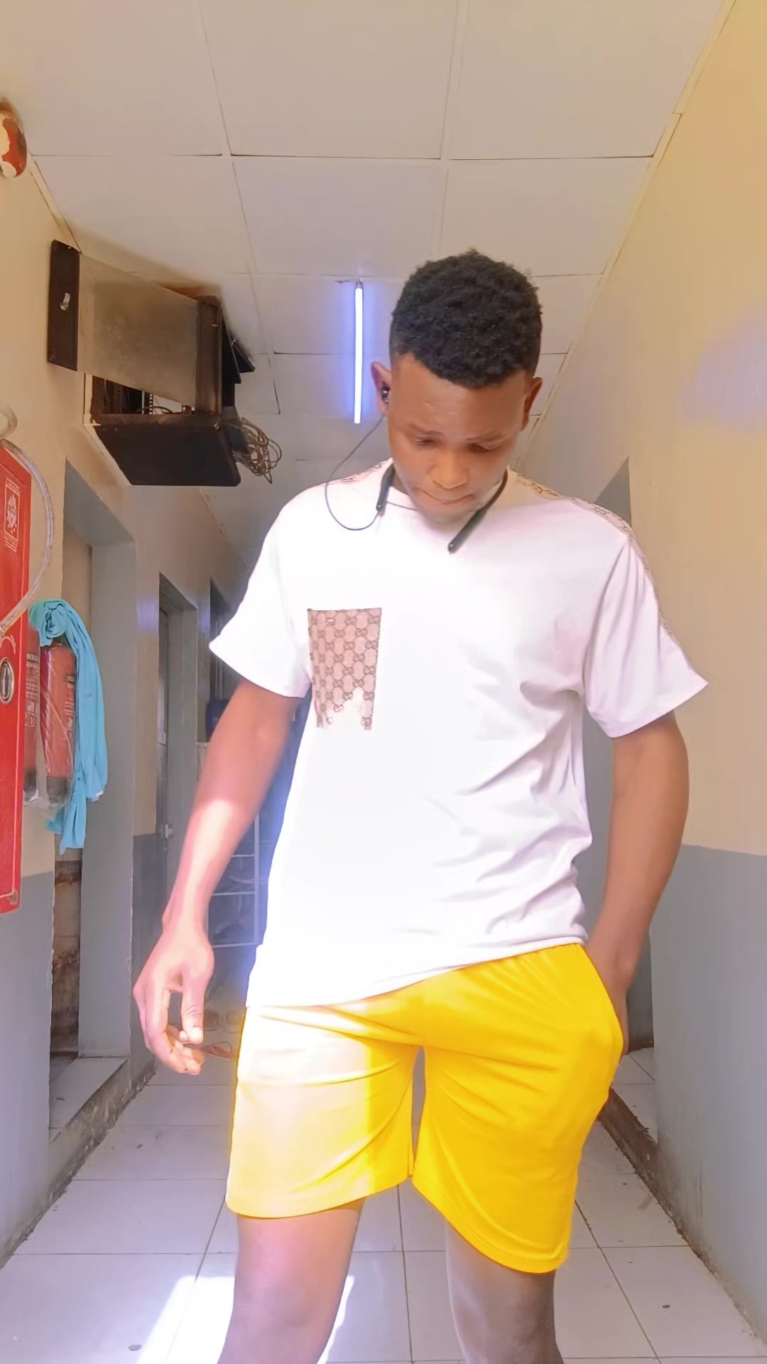 @ibravox