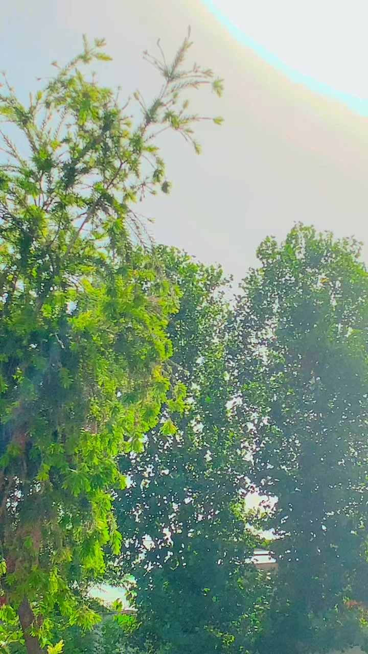 @️𝑳𝒆𝒘𝒂𝒏𝒂𝒊 𝑨𝒍𝒌🔥👻