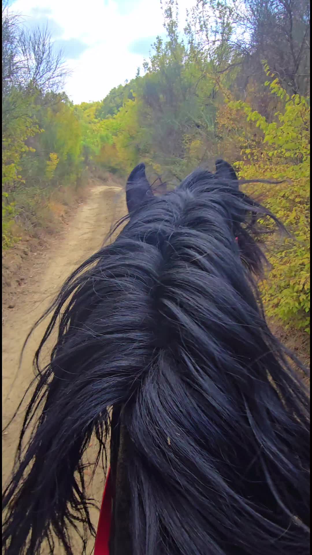 @Horse Training Center Albania