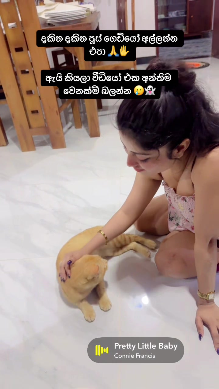 @kavee gamage