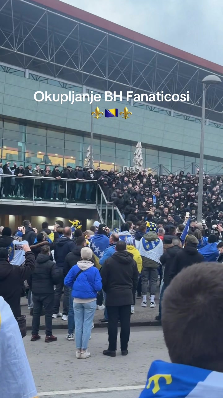 @Ameł Karić