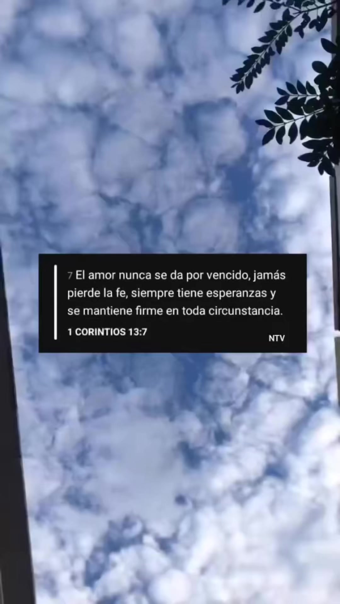 @Sandra Abundis