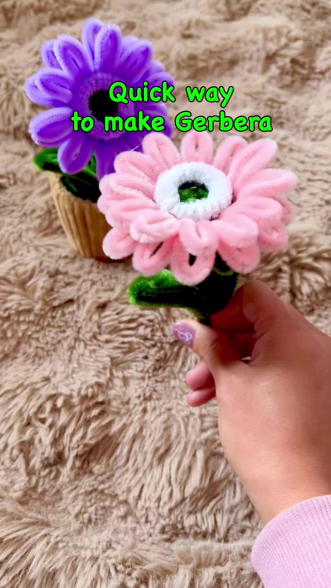 @bloomielab
