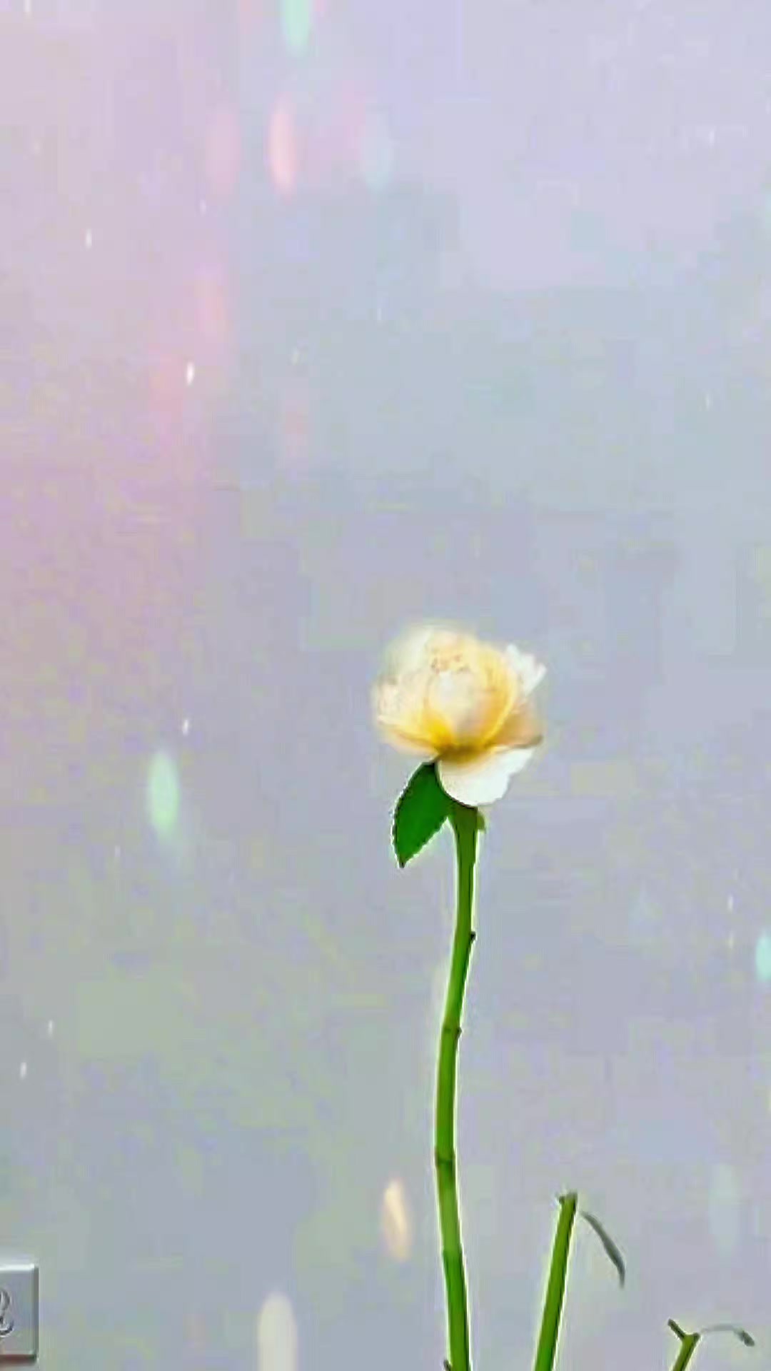 @Ina