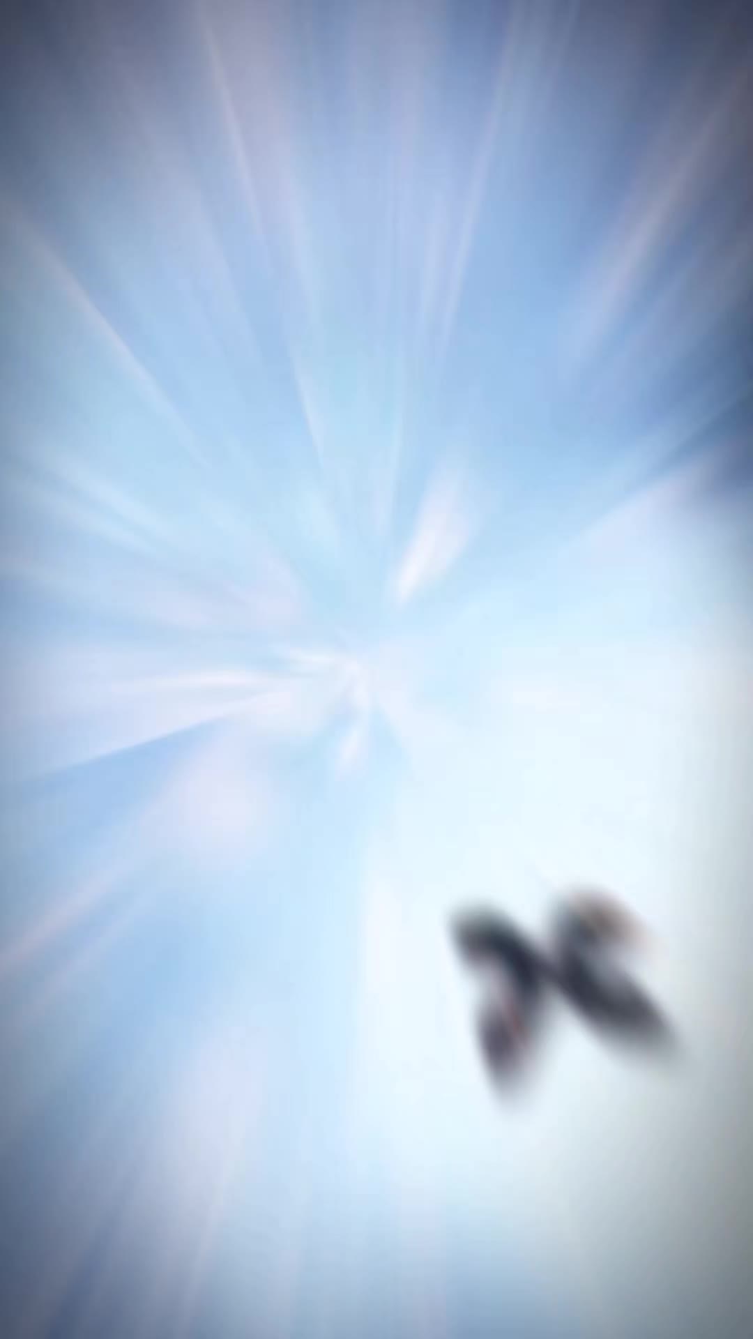 @꧁꒰ঌMeg໒꒱꧂