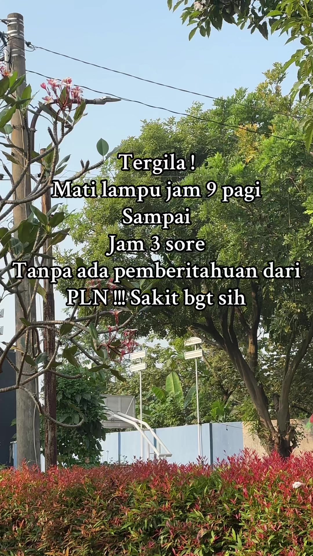 @Mami Nethanel