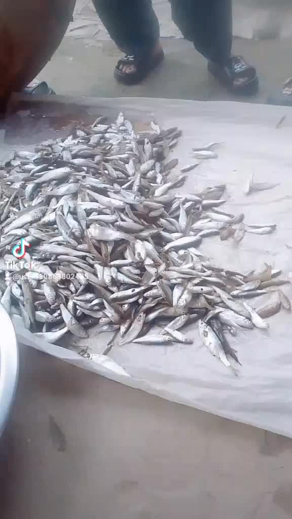 @Kreeti adhikari