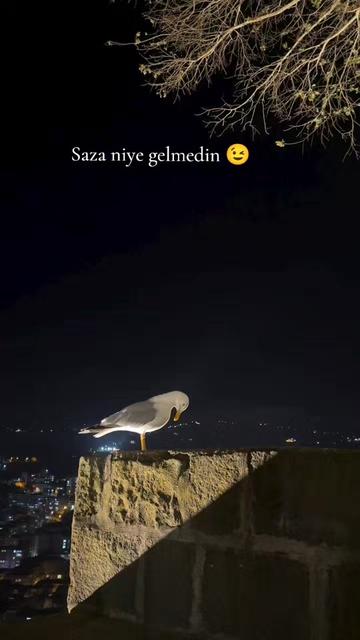 @💝💝 𝖡İ𝖹İ𝖬 𝖪𝖨𝖹 💝💝