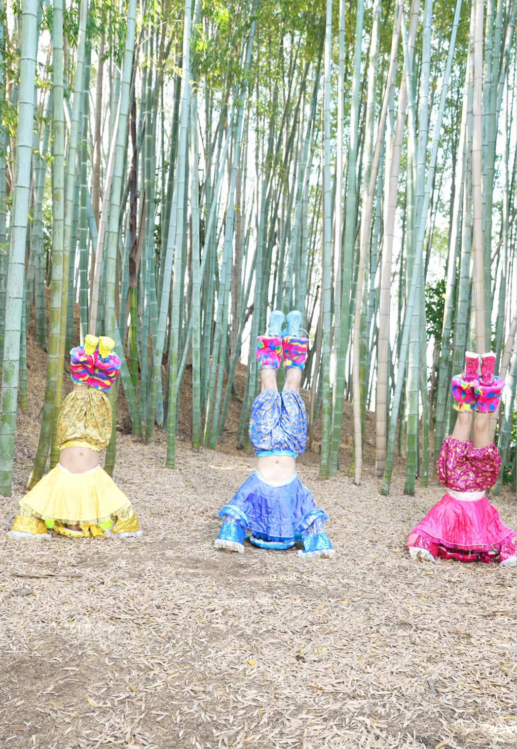 @竹下☆ぱらだいす🎍🌈