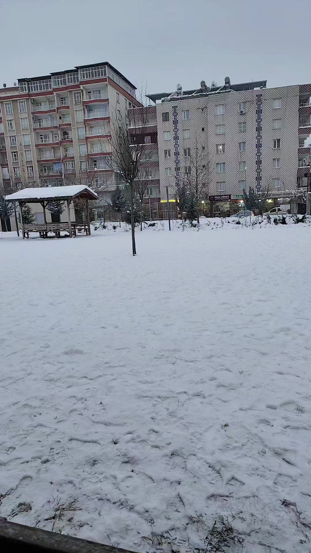 @@siirtli.5656