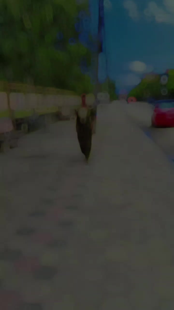 @prince yadav 123