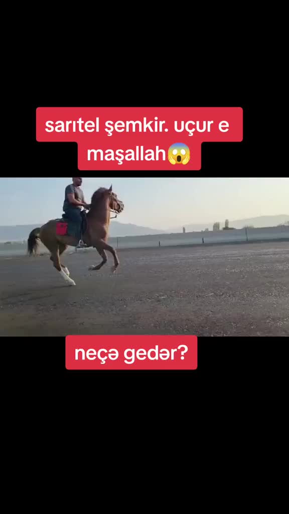 @♘𝐀𝐓 𝐇Ə𝐕Ə𝐒K𝐀𝐑𝐋𝐀𝐑𝐈♘