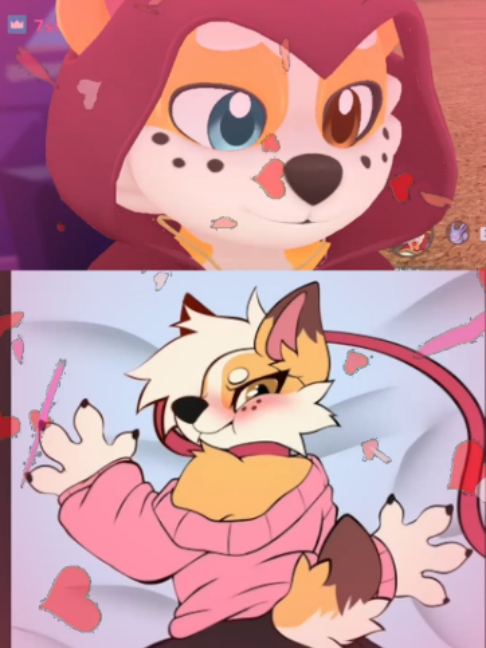 @Corgi