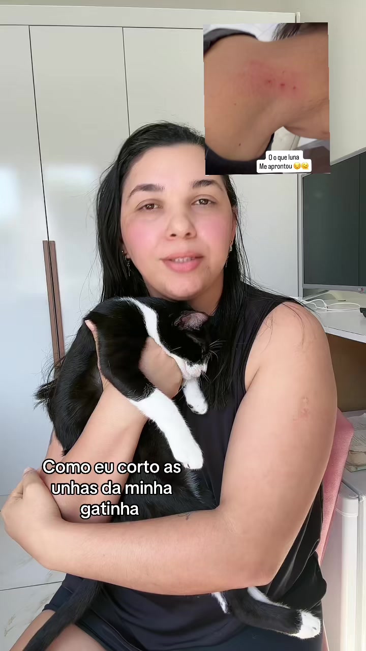 @Fer_Sousa