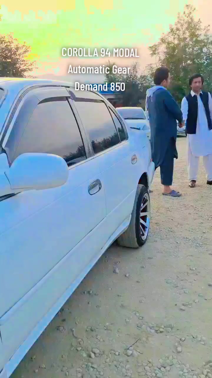 @ncpcarlover1