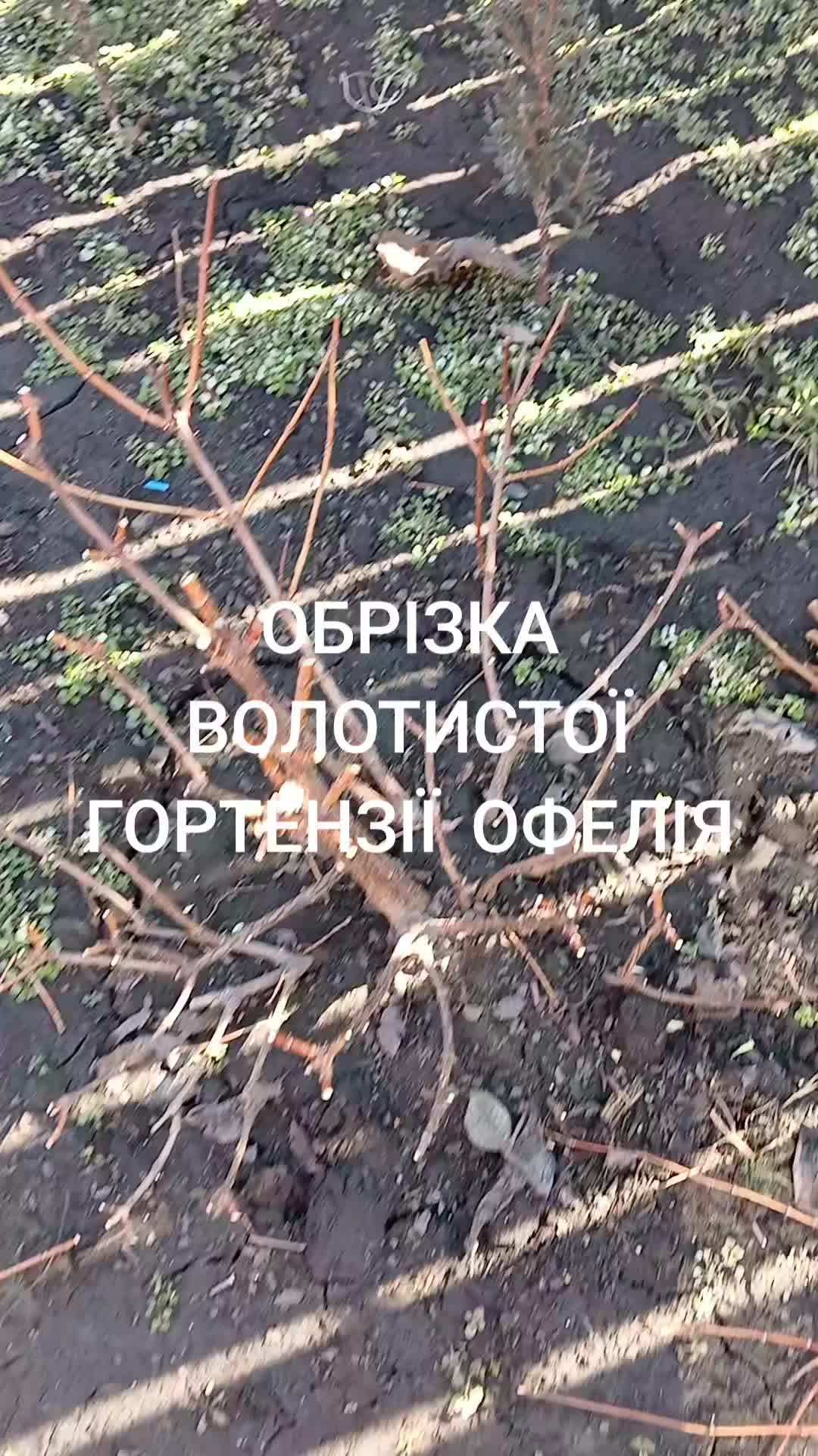 @🦋 Larisa_Fedorovna 💐