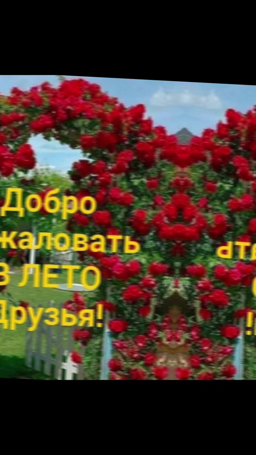 @Роза