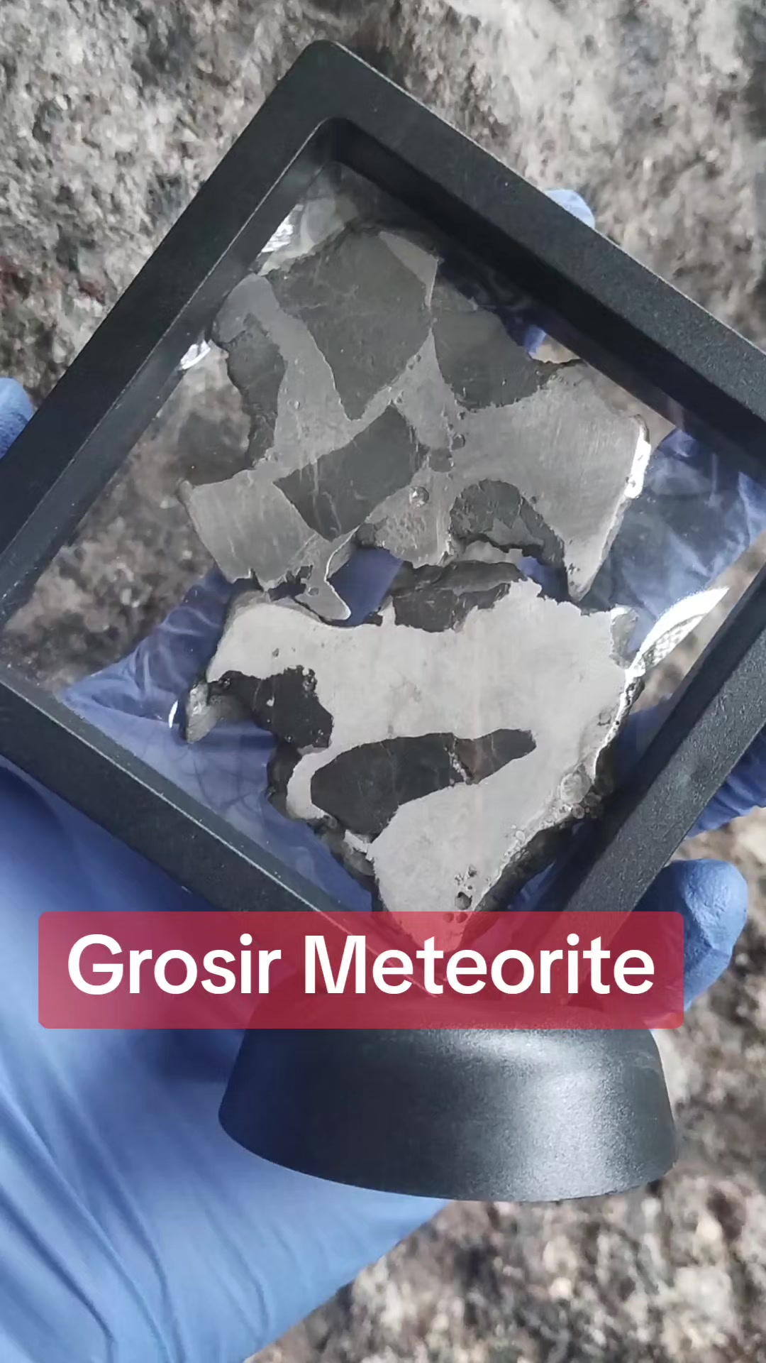 @Grosir Meteorite