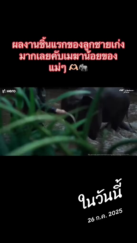 @Siriwan Setraksa(OIL)