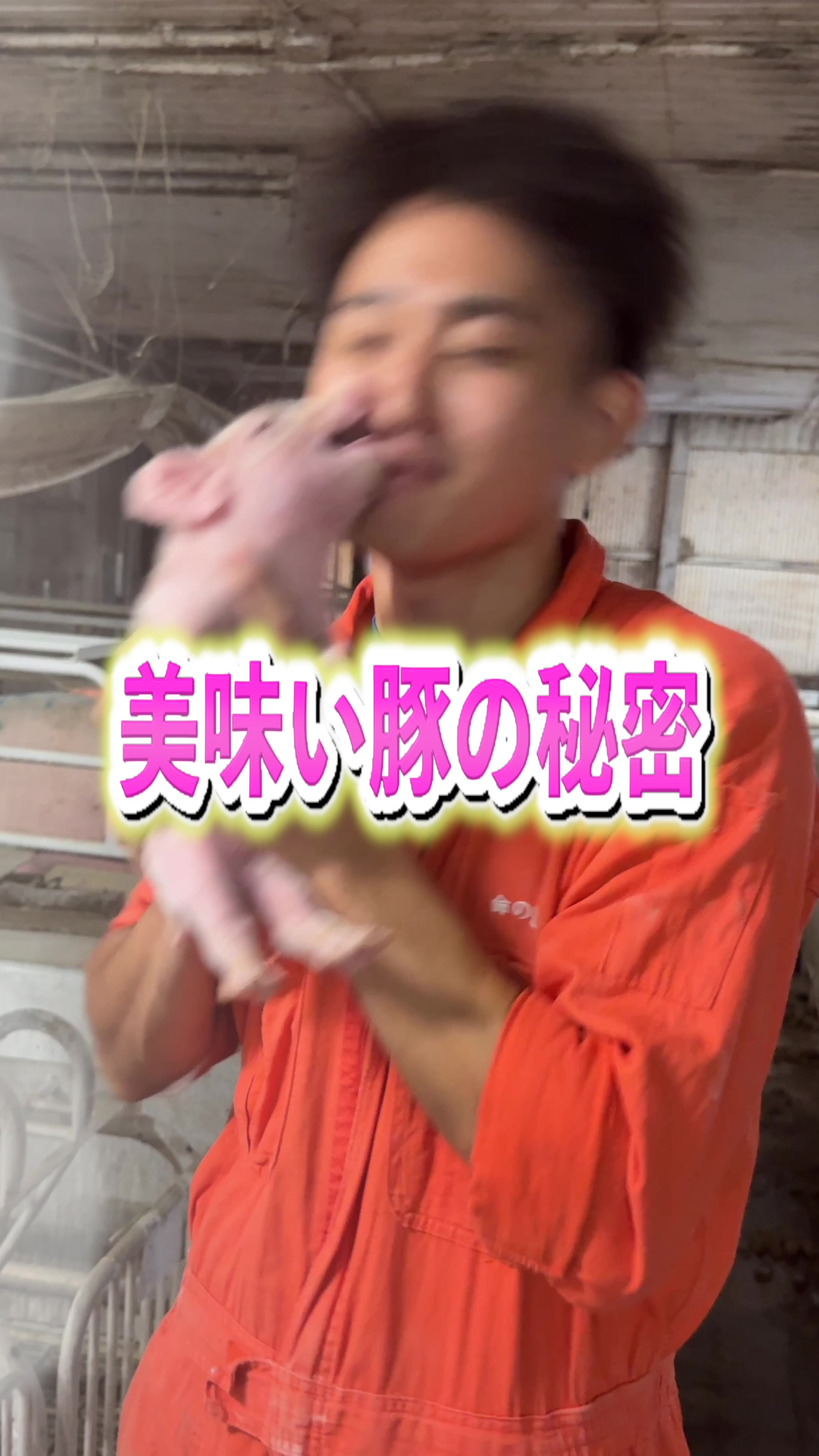 @小野友也ブタのお兄さん『命の恵』