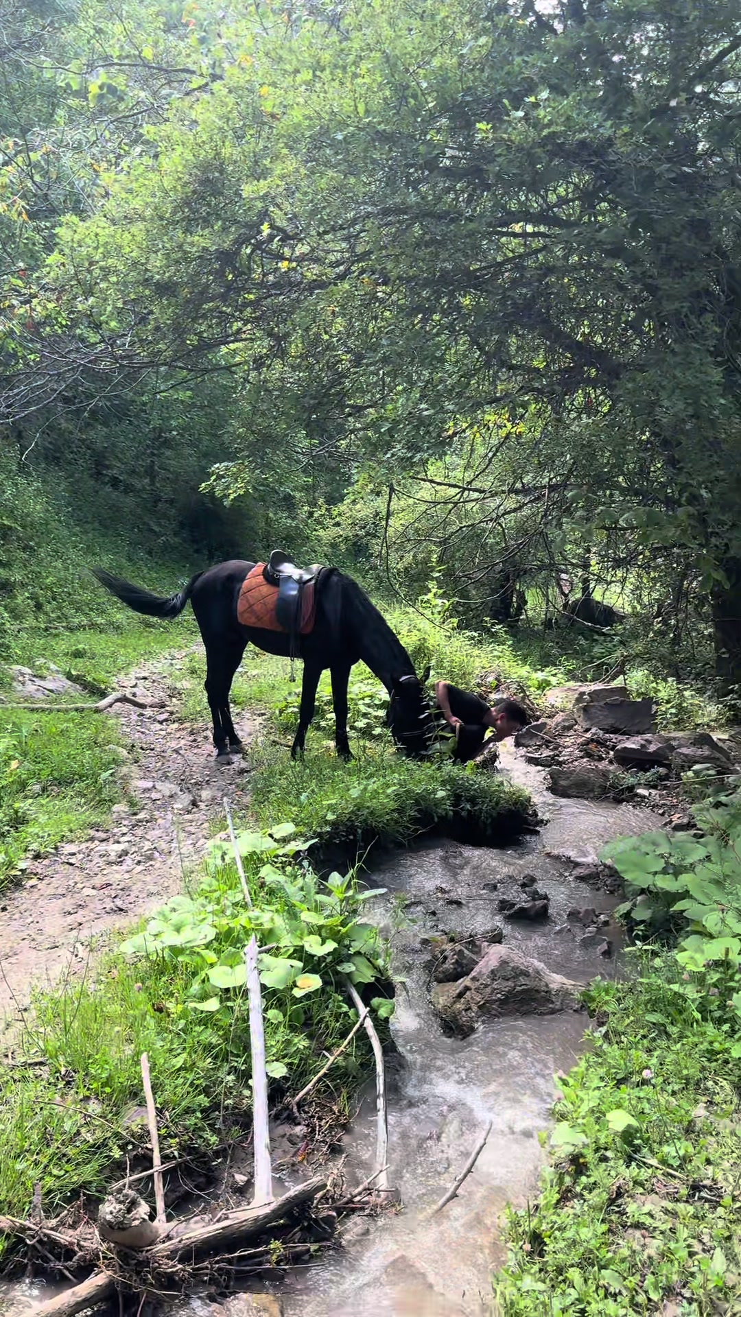 @🐎Ева🐎