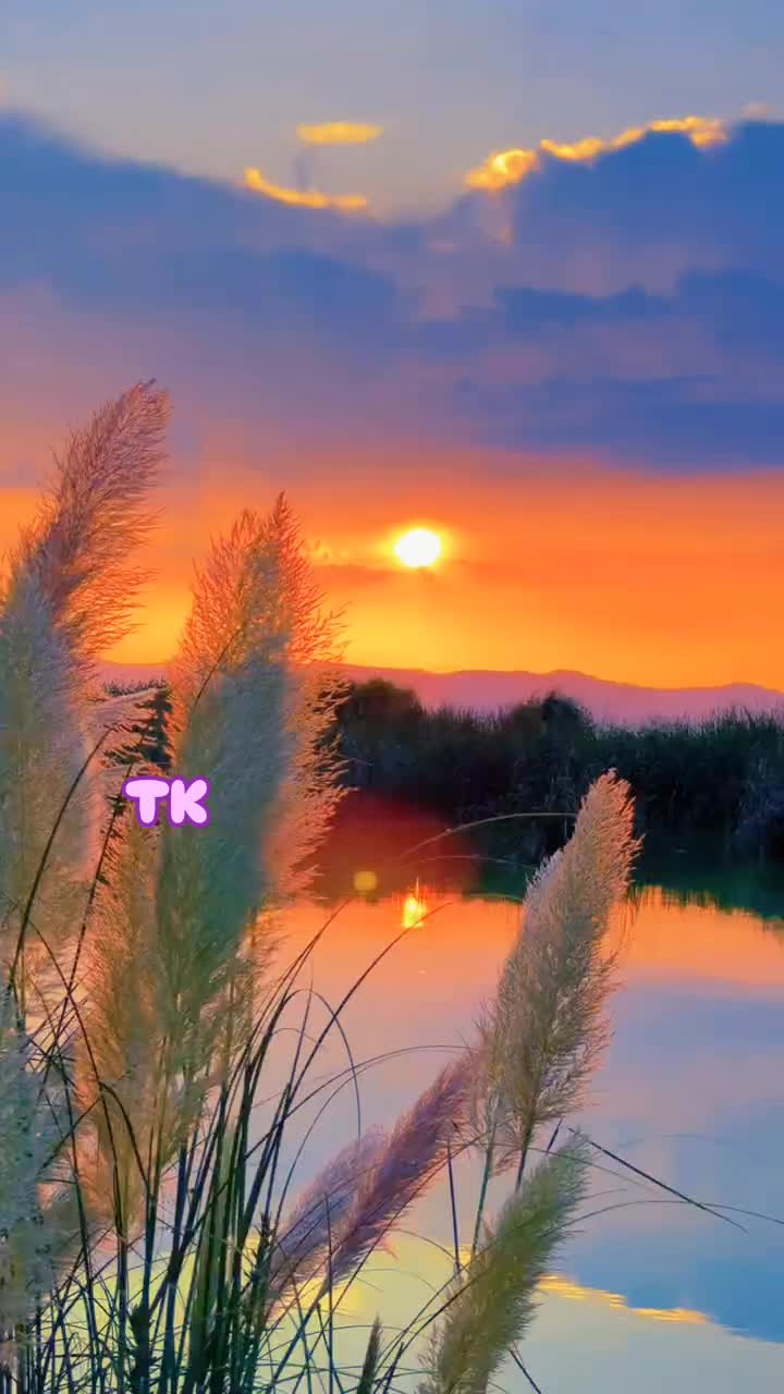 @❤️ TK ❤️