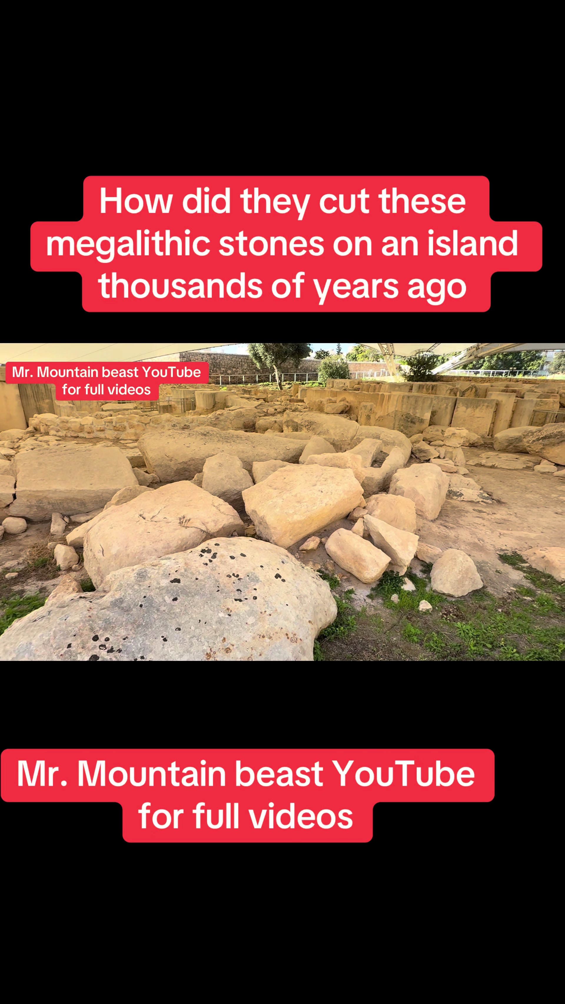 @Mr.mountainbeast