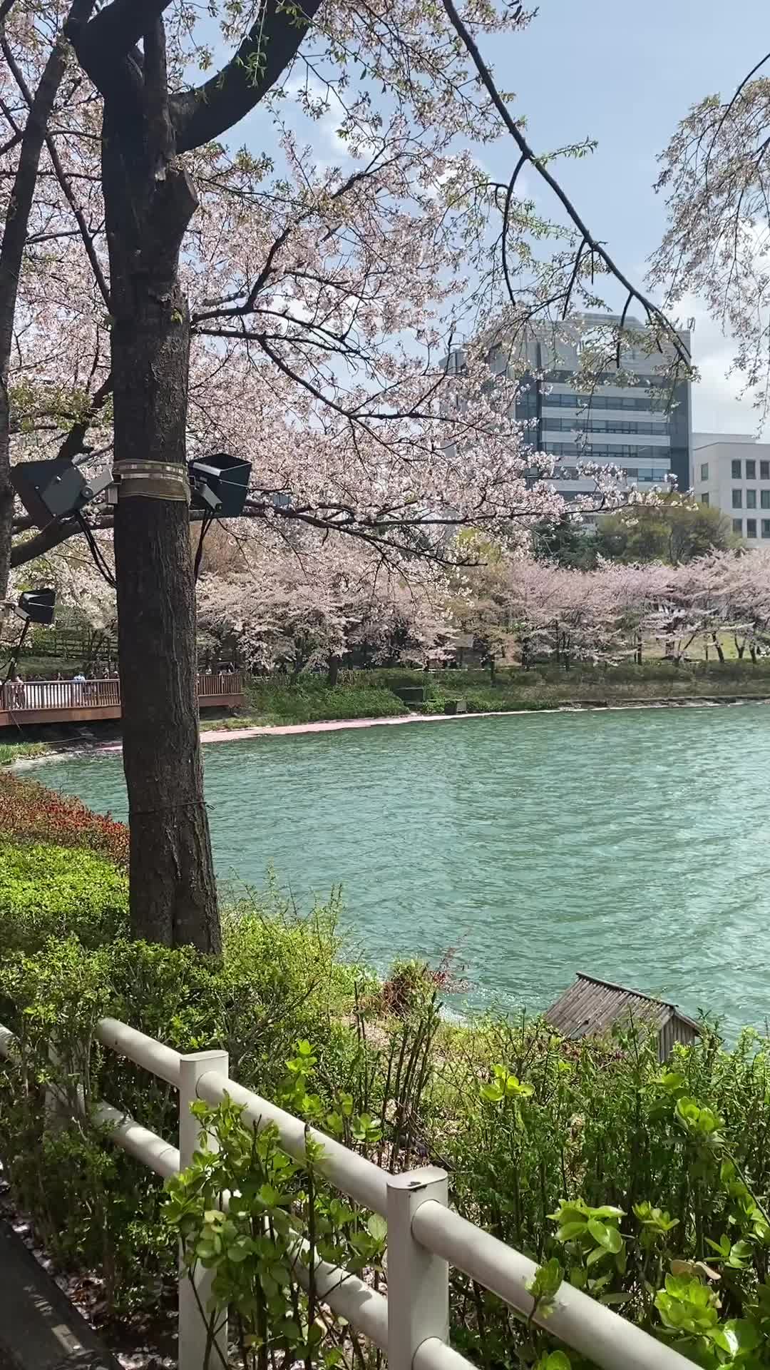 @Rajeev Tamrakar🇰🇷