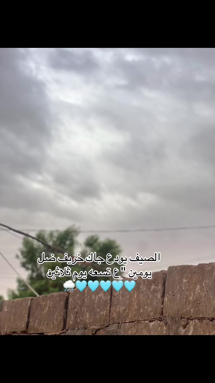 @ام سعيد وشاهين