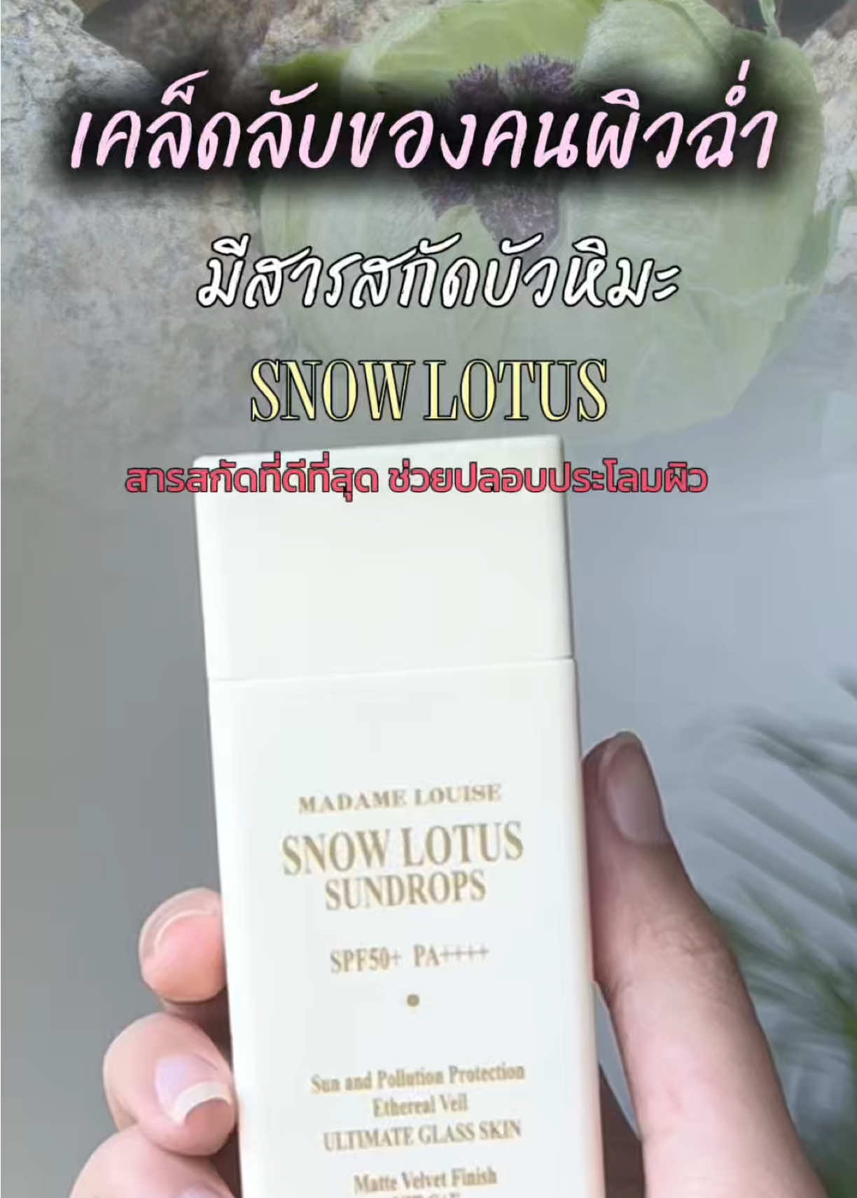 @madamelouisethailand