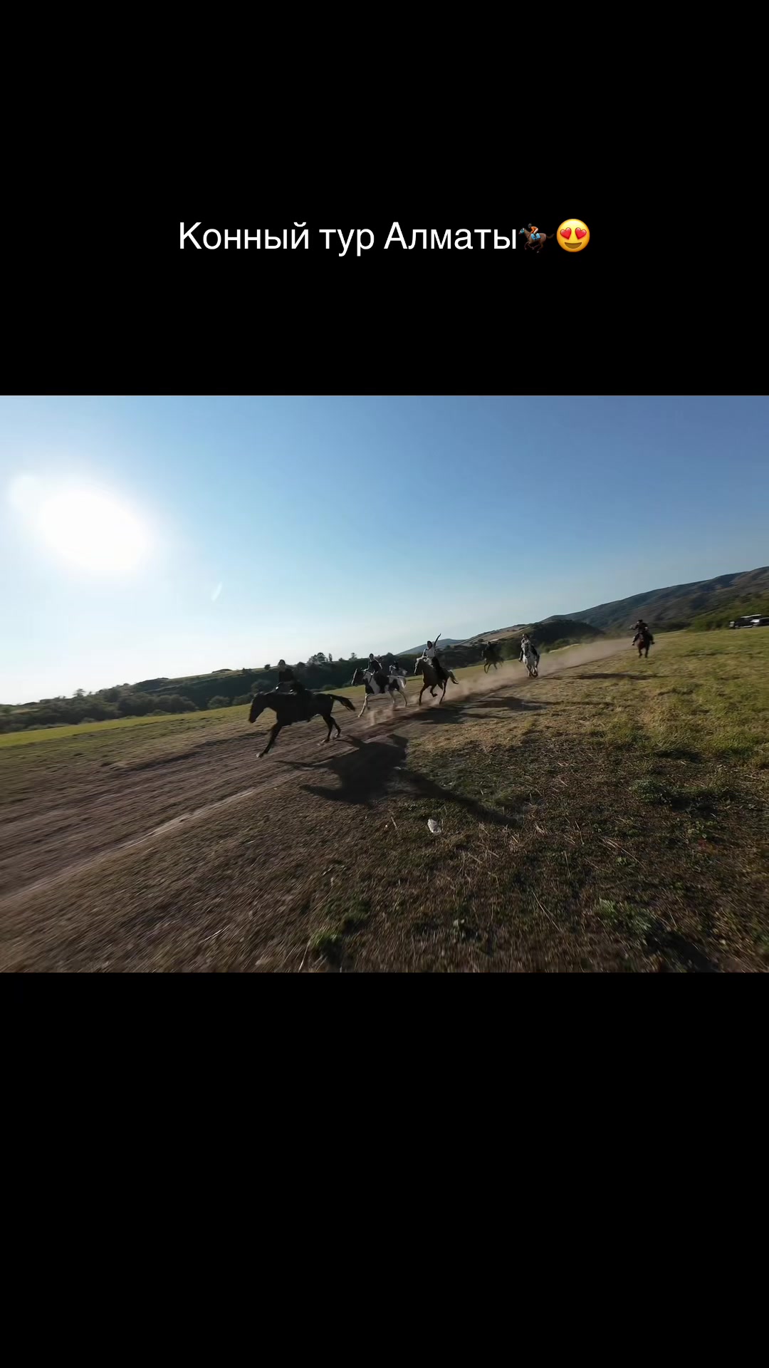 @tulpar_horses