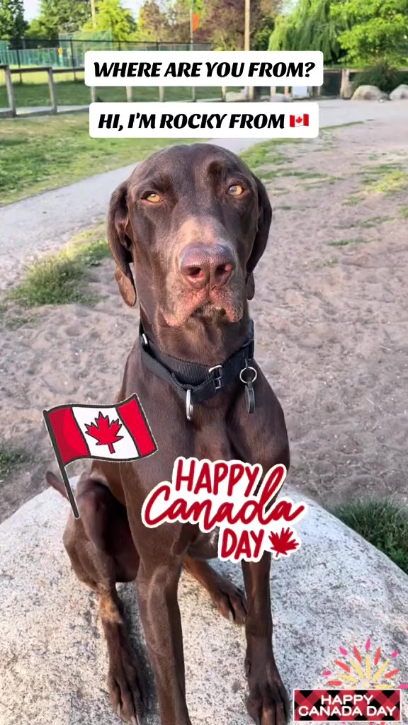 @Rocky_and_mom 🐾❤️🐶