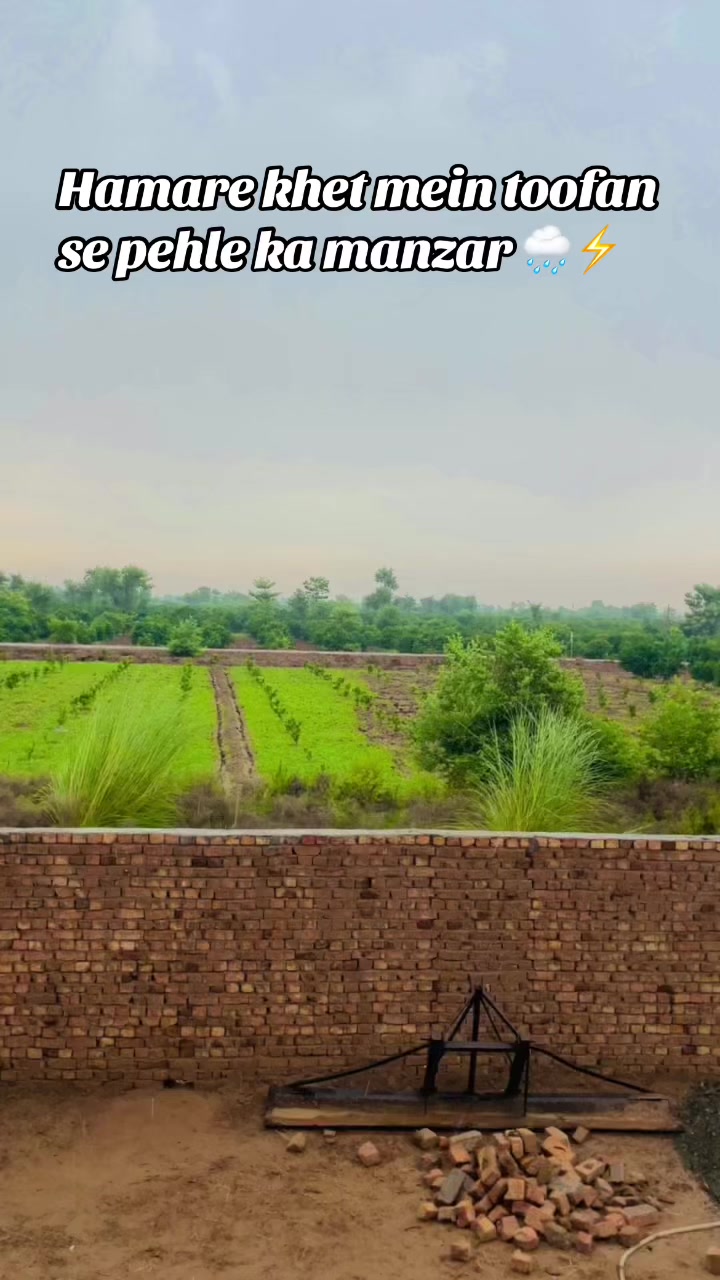 @فیصل ولوگر ☠️