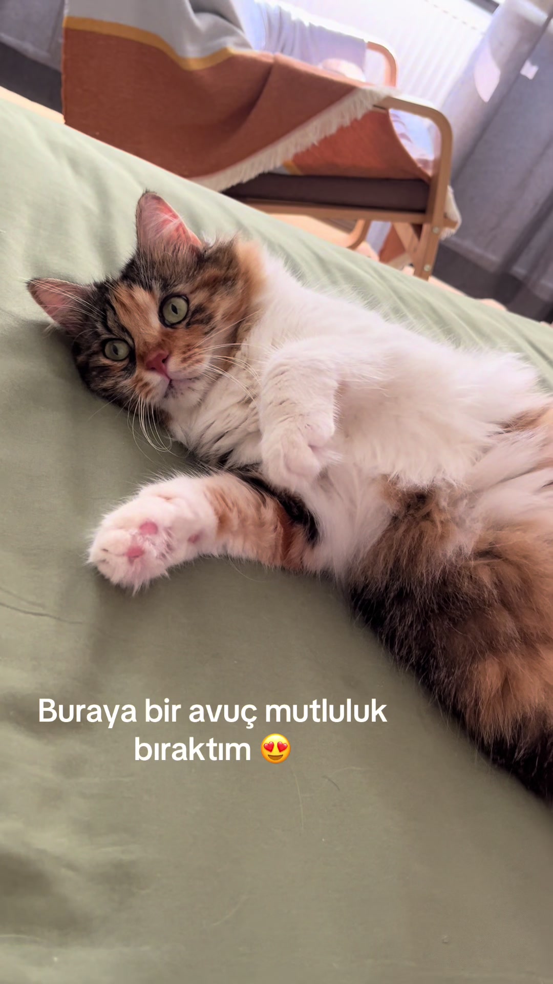 @konusankediminnos