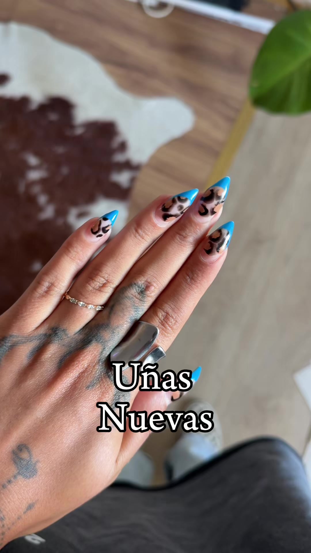 @Lucy 🐺