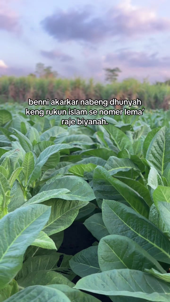 @محمد حسن لطفى