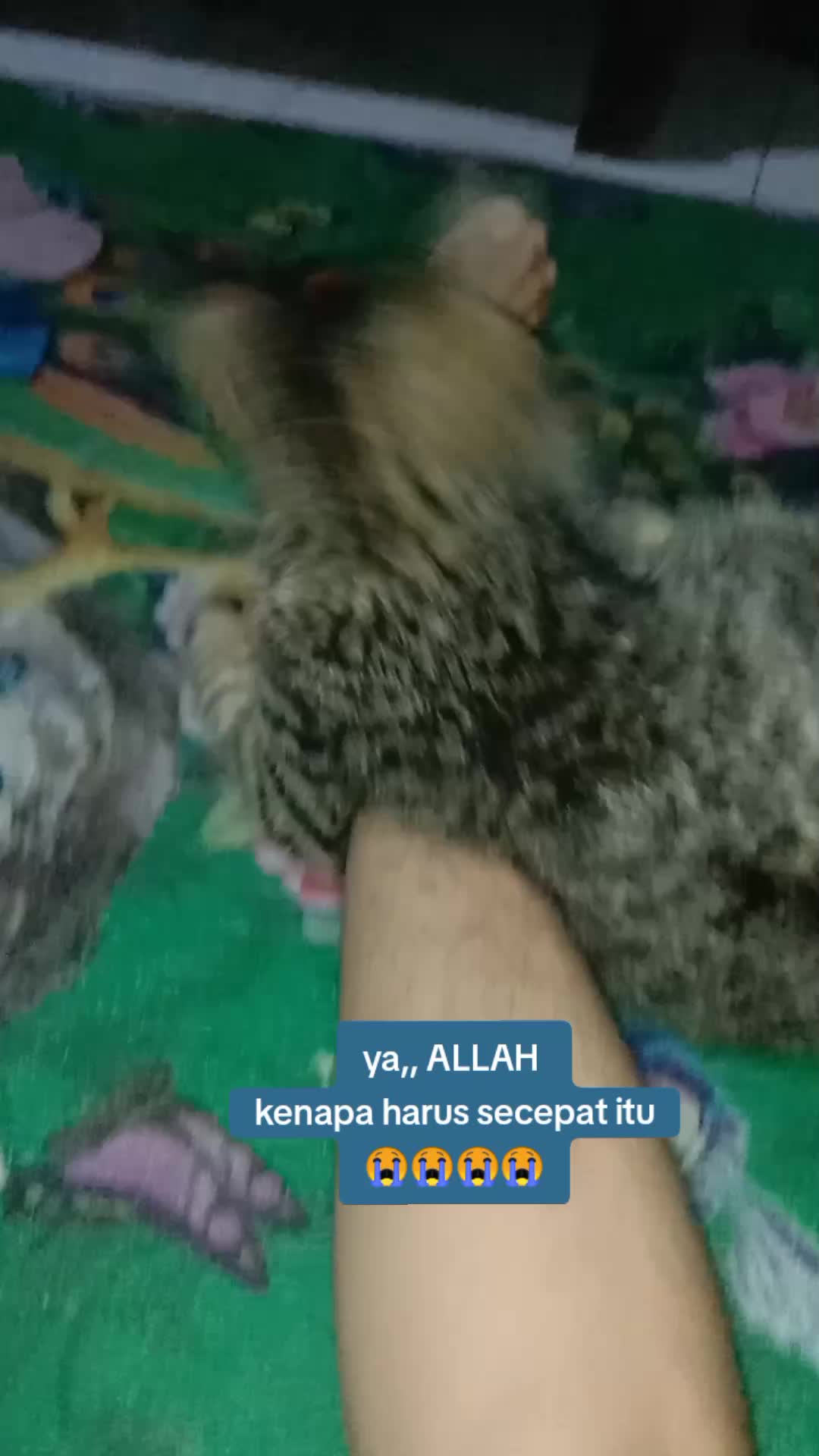 @Edha Arfan