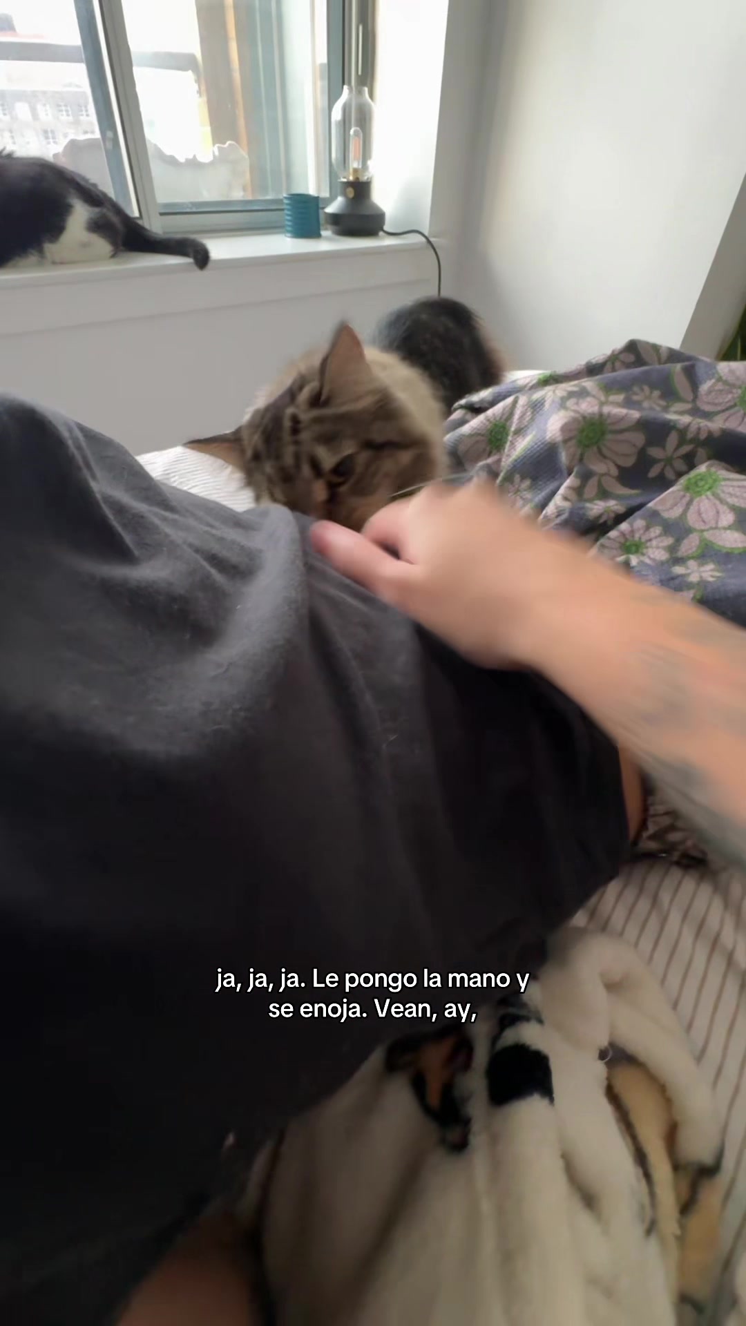 @Mai